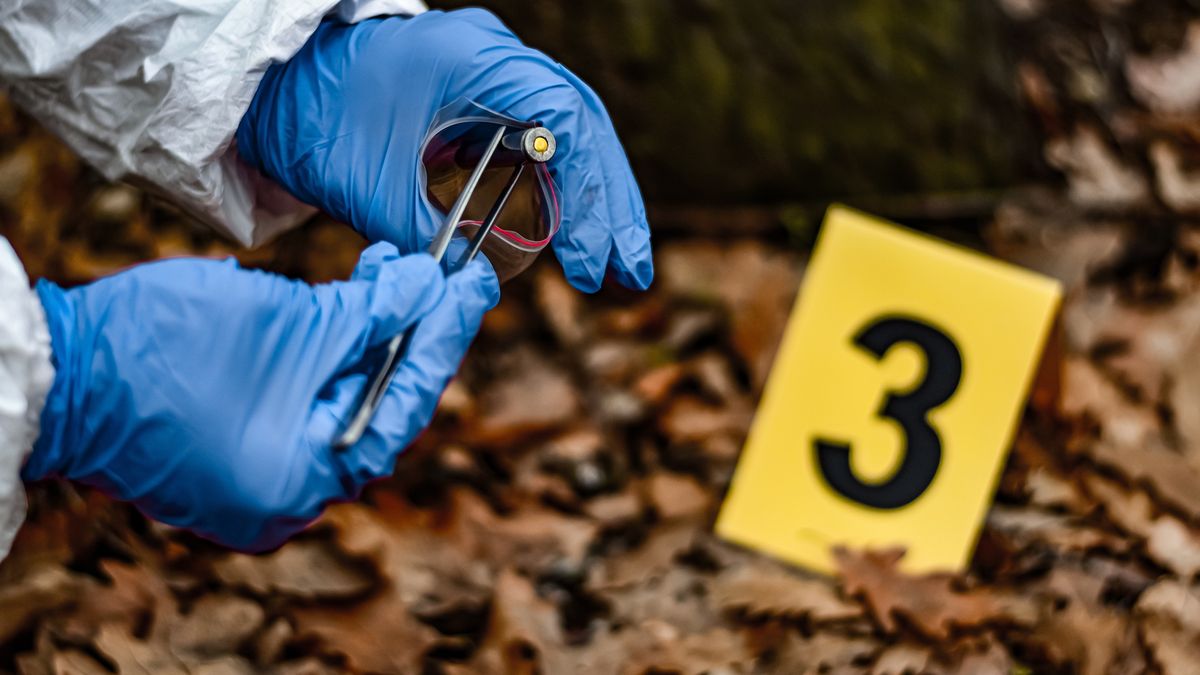 Policjanci wracają do sprawy sprzed 15 lat