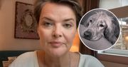 Afera wokół słów Moniki Richardson. Weterynarze grożą pozwem