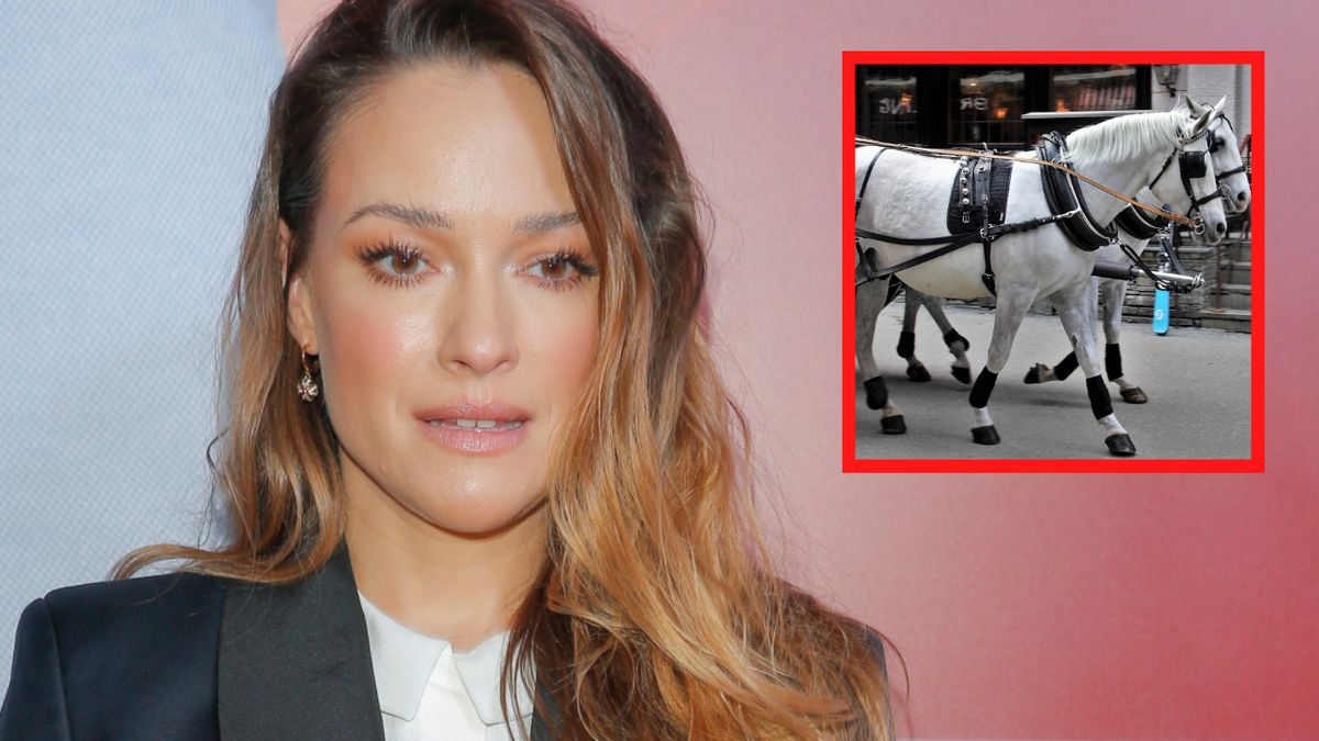 Alicja Bachleda-Curuś reaguje ws. dorożek