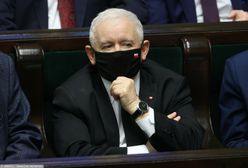 Polityk PiS o opozycji: są jak pies gończy biegający za rzuconą kością