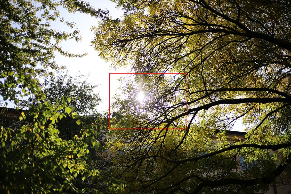 Canon EF 50 mm f/1.8 STM - niedroga przepustka do poważnej fotografii [recenzja] 24