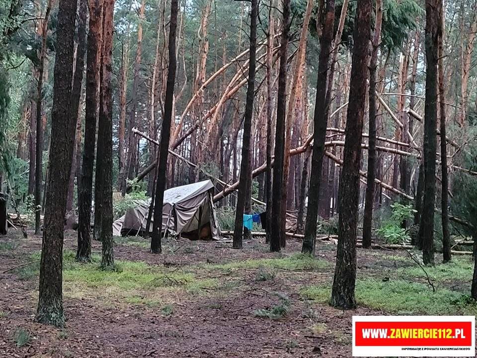Połamane gałęzie i przewrócone drzewa na terenie obozu w Kostkowicach