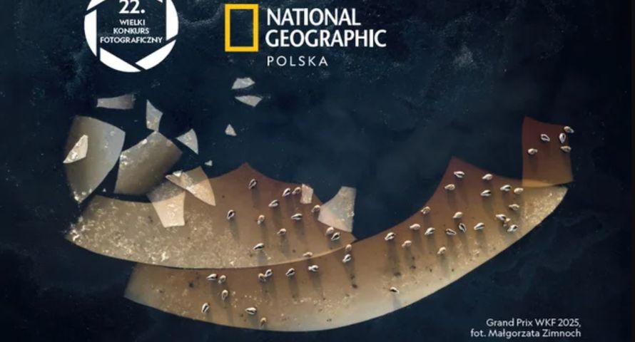 Energa partnerem konkursu National Geographic Polska