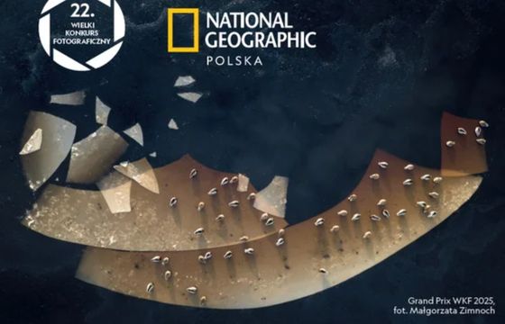 Energa partnerem konkursu National Geographic Polska