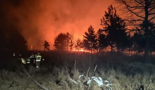 Wielki pożar w Czajkowej. Spłonęło kilka hektarów lasów i traw