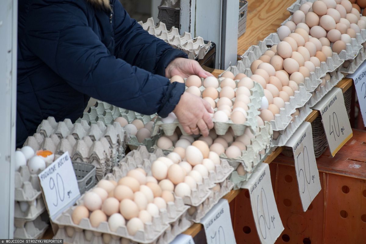 UE chce wprowadzić zakaz klatkowego systemu produkcji jaj 