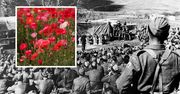 Niemcy pobierali tantiemy za "Czerwone maki nad Monte Cassino". Wyjaśniamy