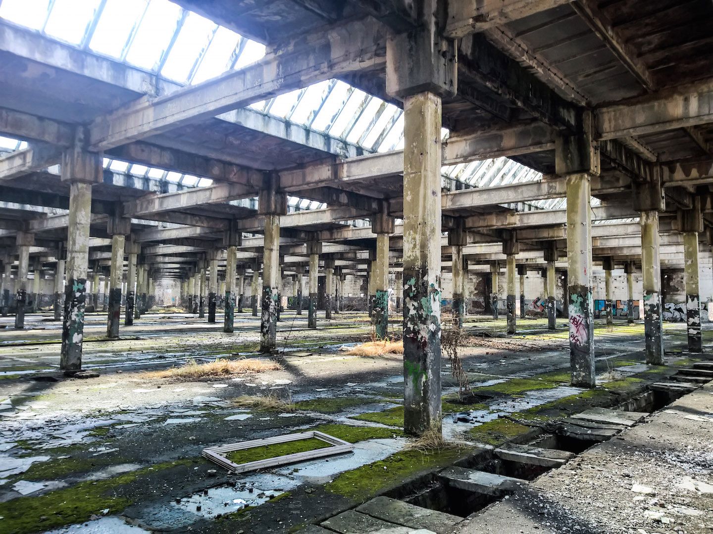 Lumia 930 - test fotograficzny 14