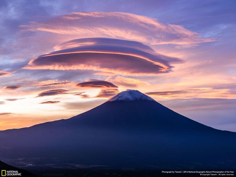 Fotografie natury, która nie przestaje zachwycać. Oto finałowe prace konkursu National Geographic Nature Photographer of the Year 2016 32
