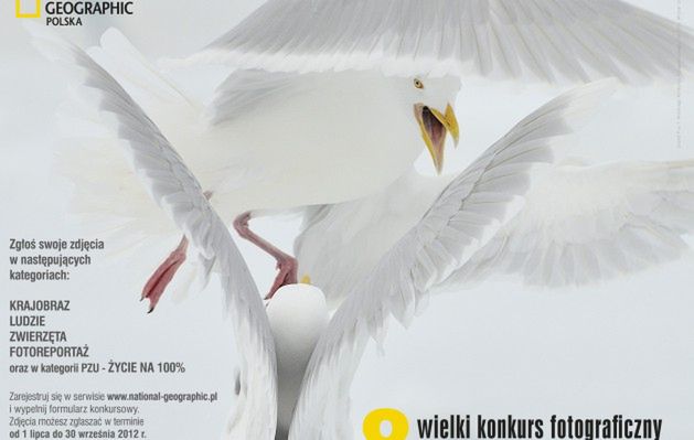 8. Wielki Konkurs Fotograficzny National Geographic