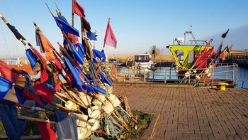 Zatrucie rybami z Zalewu Wiślanego. Wykryto pięć przypadków