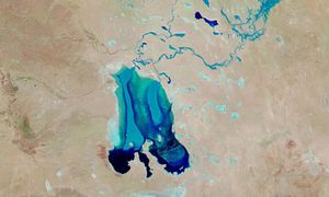 Niesamowite zjawisko. Pojawia się raz na 50 lat, a wraz z nim życie