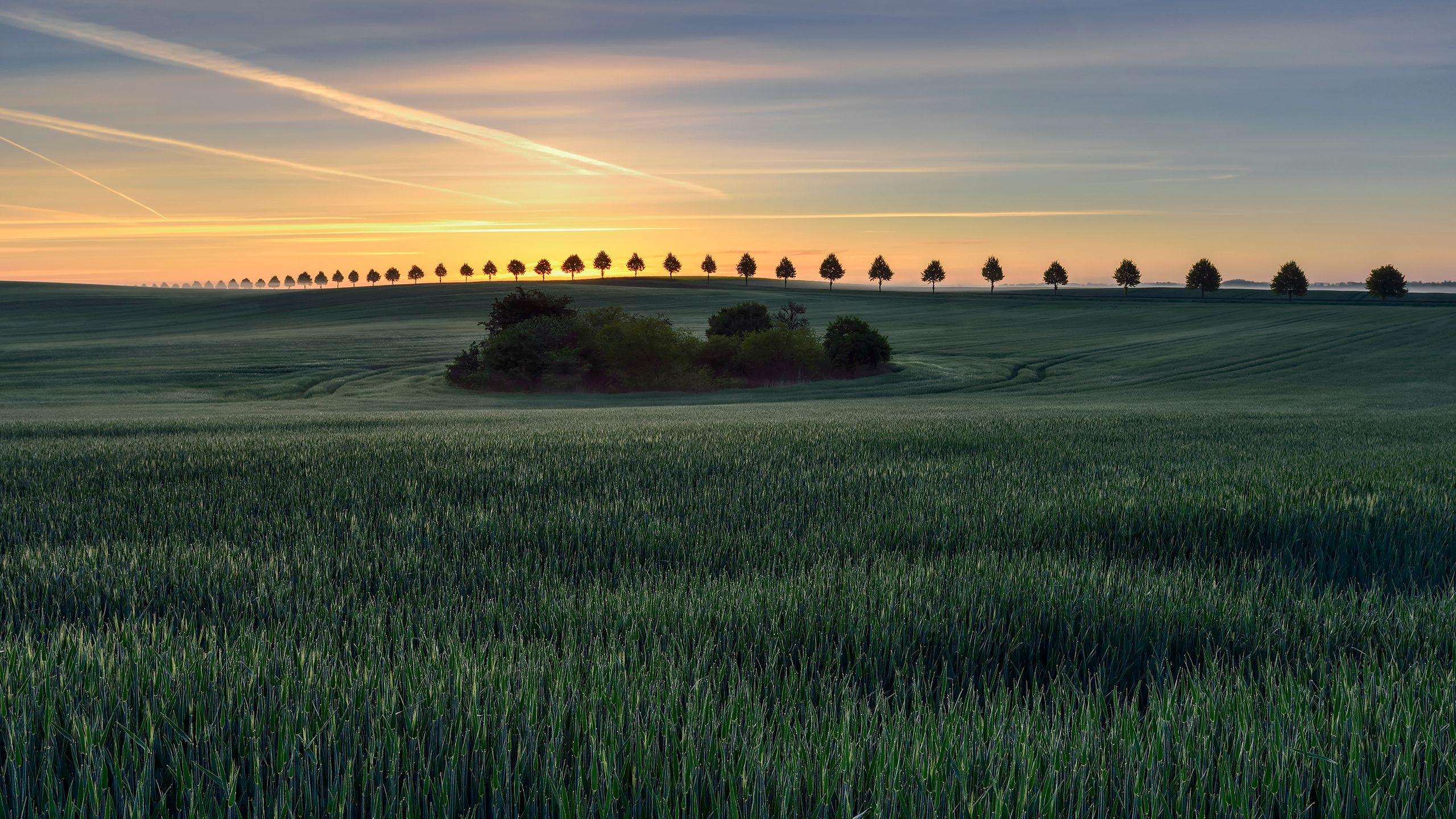 Zobacz najciekawsze z dotychczas zgłoszonych zdjęć w konkursie Sony World Photography Awards 2016 2