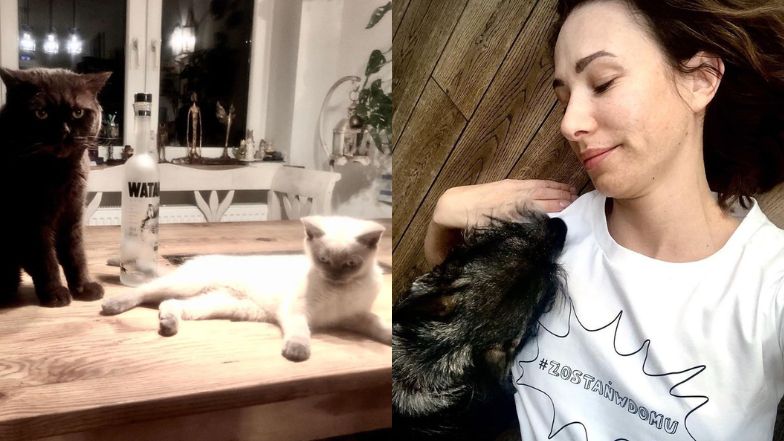 Dom Aleksandry Popławskiej w pobliżu Puszczy Kampinowskiej