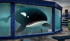 Więzione zwierzęta opowiadają o swoim cierpieniu głosami ludzi z czasów lockdownu