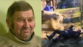 Poniesiony przez bydło na planie "Rolnicy. Podlasie". Jest reakcja stacji