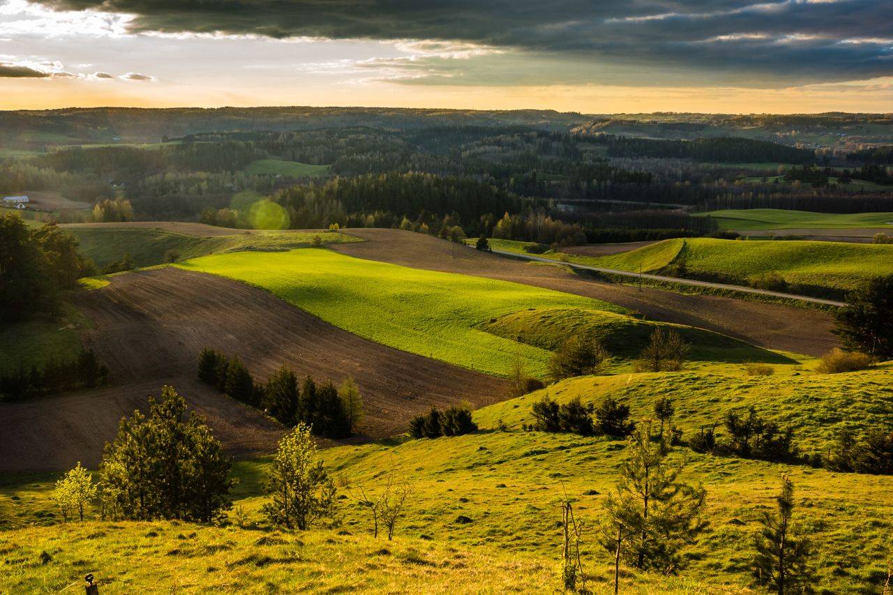 Wiosna na Suwalszczyźnie