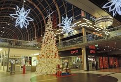 Zakupy świąteczne pod znakiem zapakowanego karpia. Sieci zachęcają do kupna gotowych wigilijnych potraw