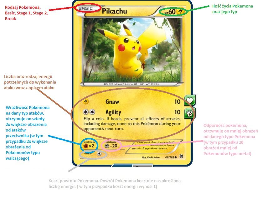 Podstawowe informacje o karcie Pokemona