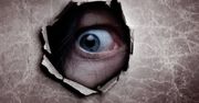 Microsoft na szóstkę: Electronic Frontier Foundation chwali firmę za wzorowe podejście do kwestii prywatności