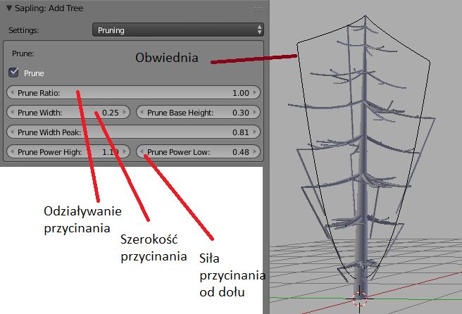 Przycinanie korony drzewa