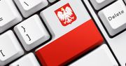 NIK: europejskie środki na rozbudowę internetu szerokopasmowego w Polsce mogą zostać zmarnowane