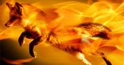 Nadchodzi 64-bitowy Firefox dla Windows
