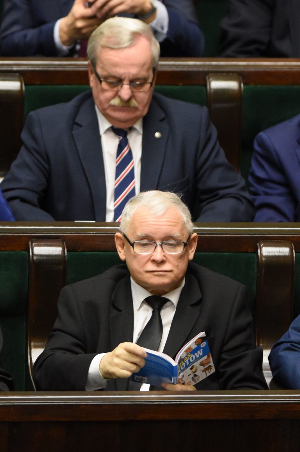 Jarosław Kaczyński czyta książkę o kotach