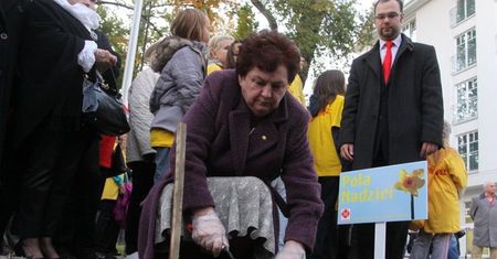 Pola Nadziei 2012 - zasadzą żonkile wokół hospicjum