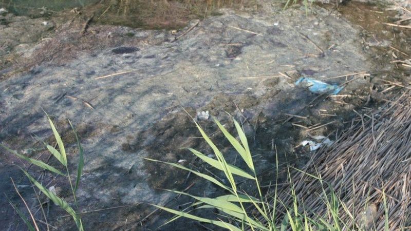 Górki Wschodnie - zanieczyszczona Wisła