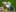 ŚCINKI: Bandicoot Souls, cosplay menu i ślub z VR-ową panną młodą (3 - 9 lipca)