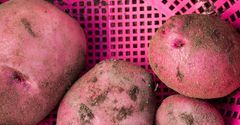 7 produktów, które spożywasz niewłaściwie