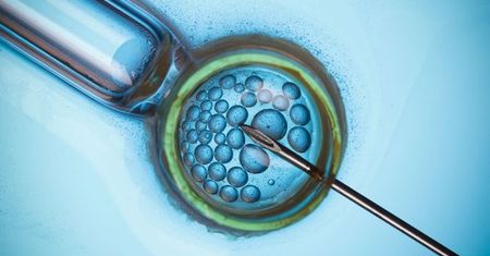 Zamrażanie komórek jajowych pogarsza wyniki in vitro