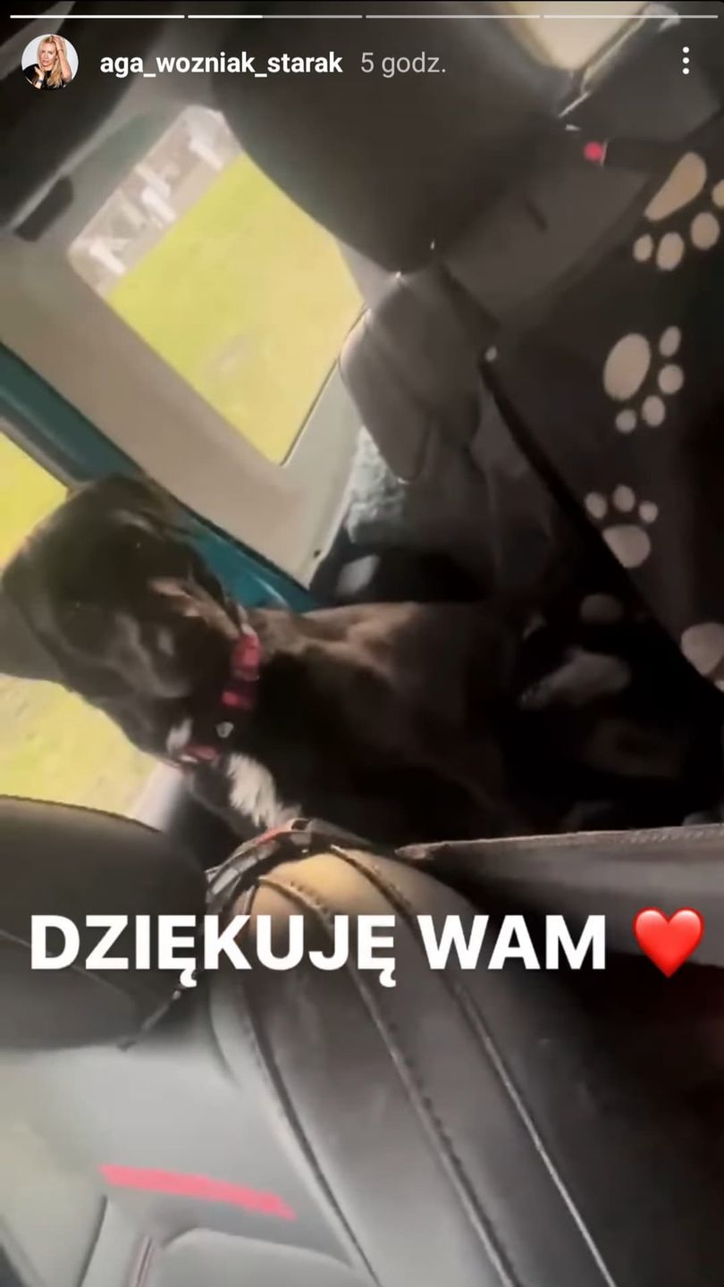 Agnieszka Woźniak-Starak poszukiwała swojego psa