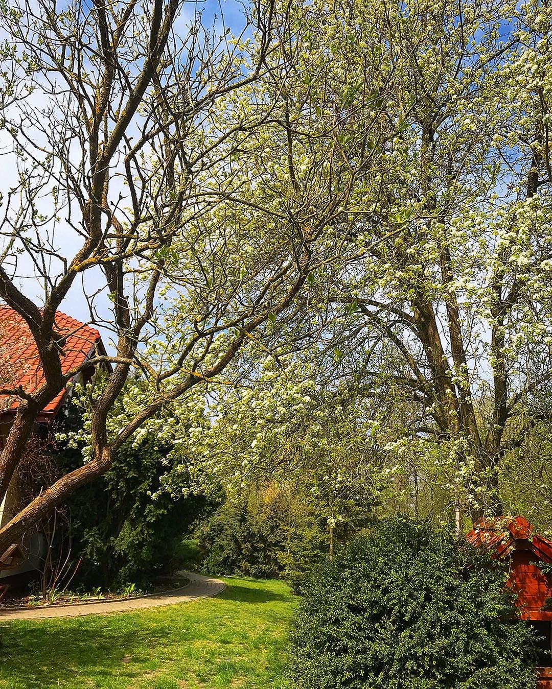 Małgorzata Rozenek - Wielkanoc 2019