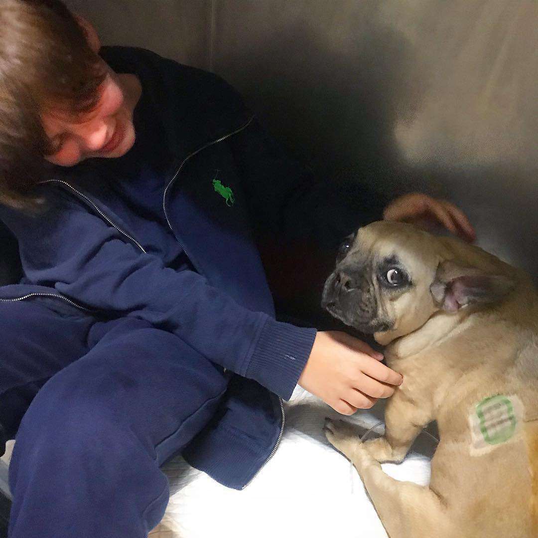 Pies Małgorzaty Rozenek przeszedł poważną operację