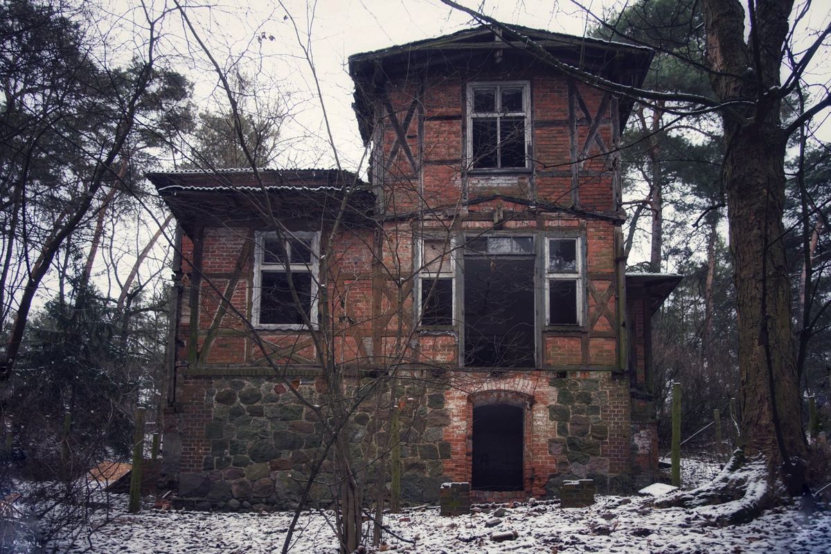 zdjęcie