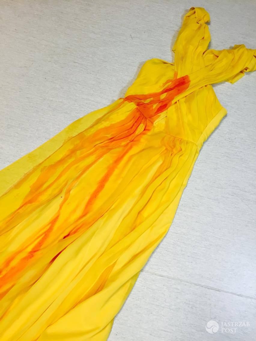 Zdjęcie zniszczonej sukienki Edyty Górniak