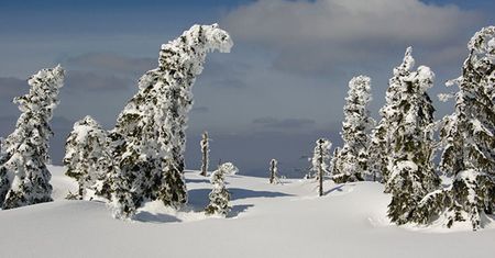 Śnieg w pierwszy dzień wiosny
