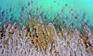 Zakazali łowić ryby. Już są tego skutki