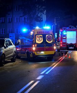 Pożar w centrum handlowym w Poznaniu. Nie udało się uratować papugarni