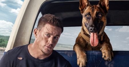 Niejeden twardziel uroni tu łzę - recenzja filmu Pies
