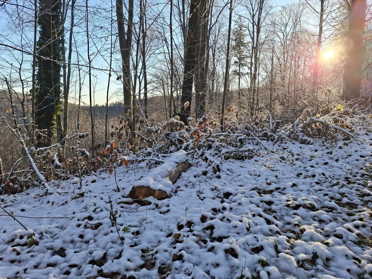 Pierwszy poważny atak zimy. Te regiony Polski zasypie najmocniej