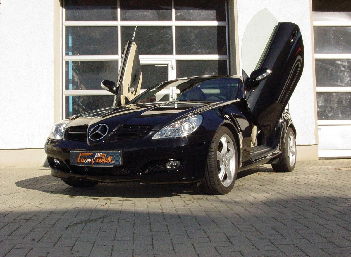 Mercedes SLK (fot. shop.loonytuns.de)