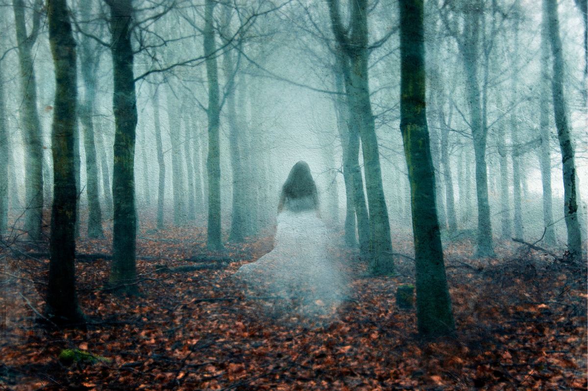 Duch w lesie