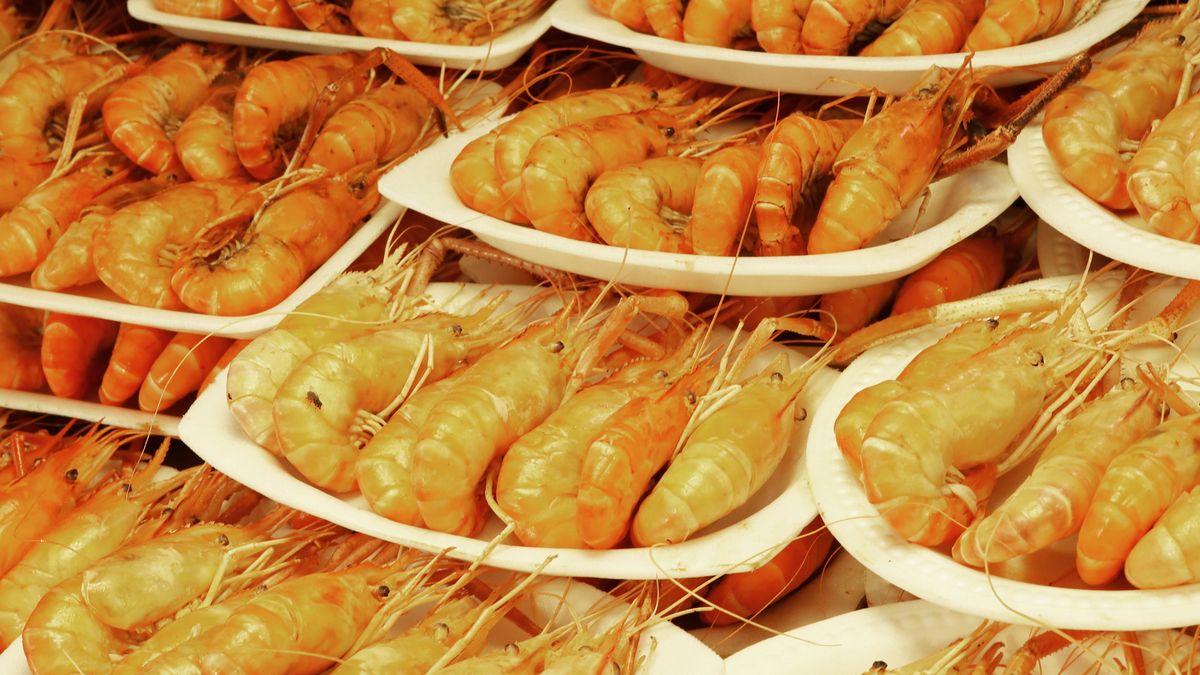 shrimps, prawns, shrimp, prawn, cooking, restaurant, recipe, crustacean, baked, meal, dish, cuisine, lunch, grilled, market, night market, orange, plates, plate, ocean food, whole, thailand, many, pile, store, retail, prepared, stall, street food, ocean, eat, sea, healthy, fresh, dinner, food, tasty, delicious, gourmet, macro, closeup, sea food, seafood, horizontal
