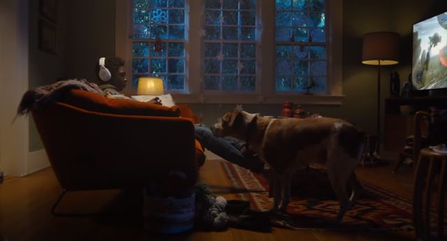 Pies tęskni za czlowiekiem w świątecznym spocie Microsoftu