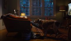 Pies tęskni za czlowiekiem w świątecznym spocie Microsoftu