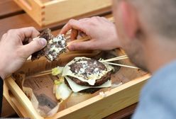 Walka z otyłością. Największe holenderskie miasta chcą pozbyć się fast foodów