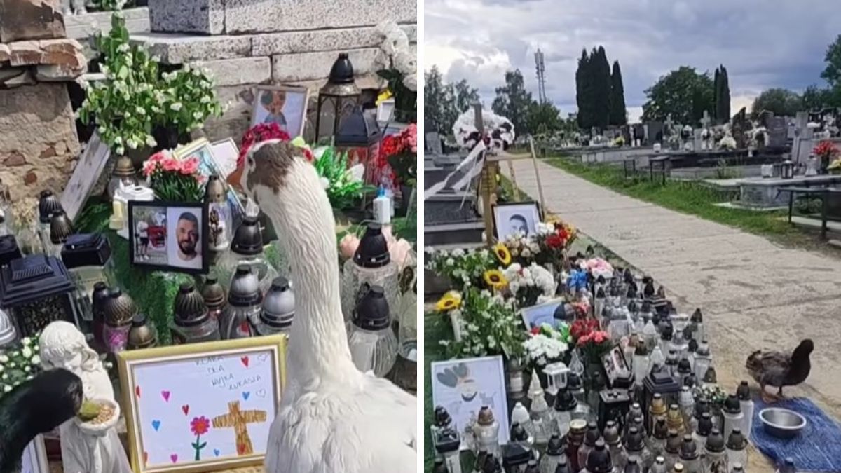Dwa tygodnie po pożarze wrócili pod grób Łukasza Litewki